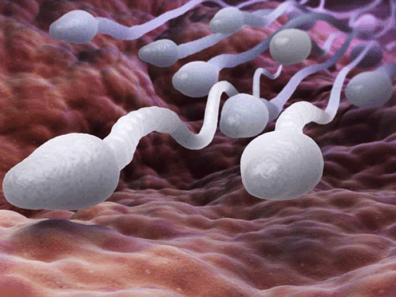 Know What Is Semen Retention And Its Benefits In Sex Life