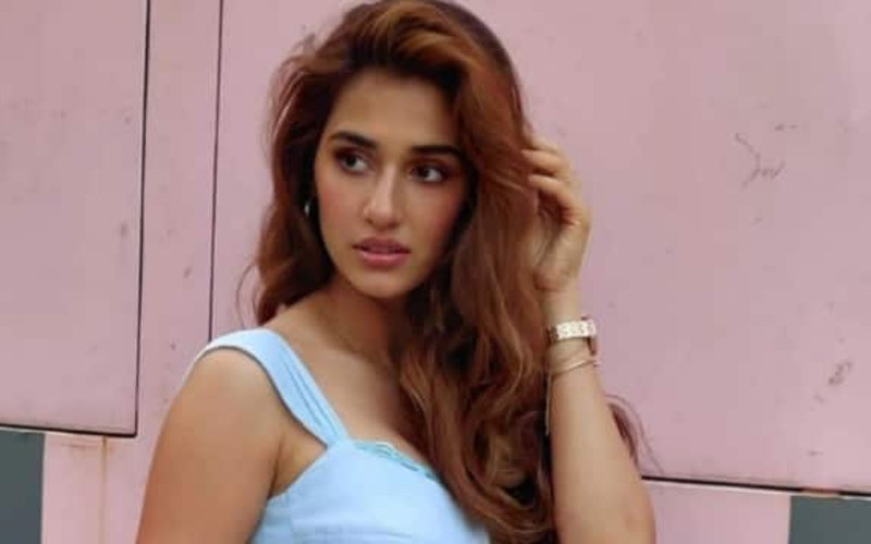800px x 500px - Disha patani reveal she did not watch her movies as she hide her face