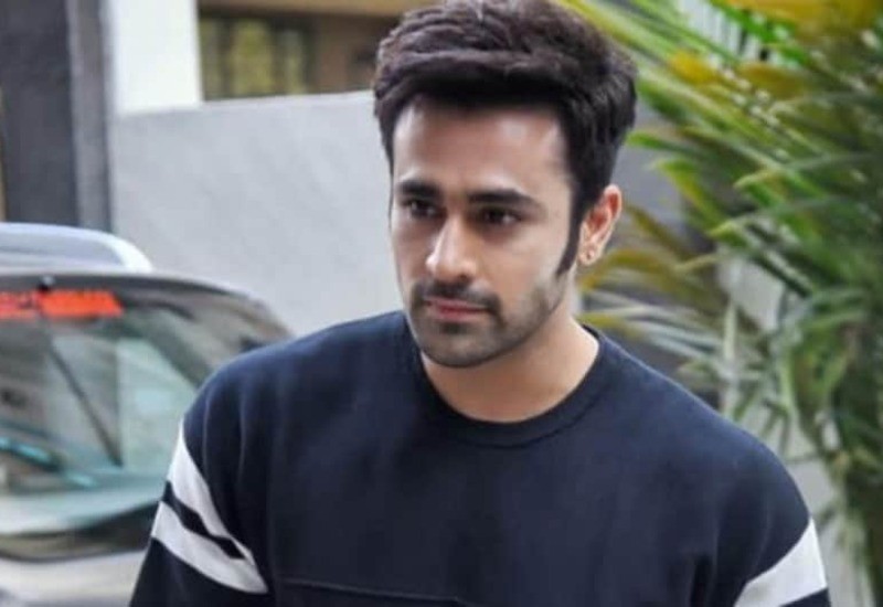 Naagin 3 fame Pearl V Puri arrested, rape case filed against 5 others ...