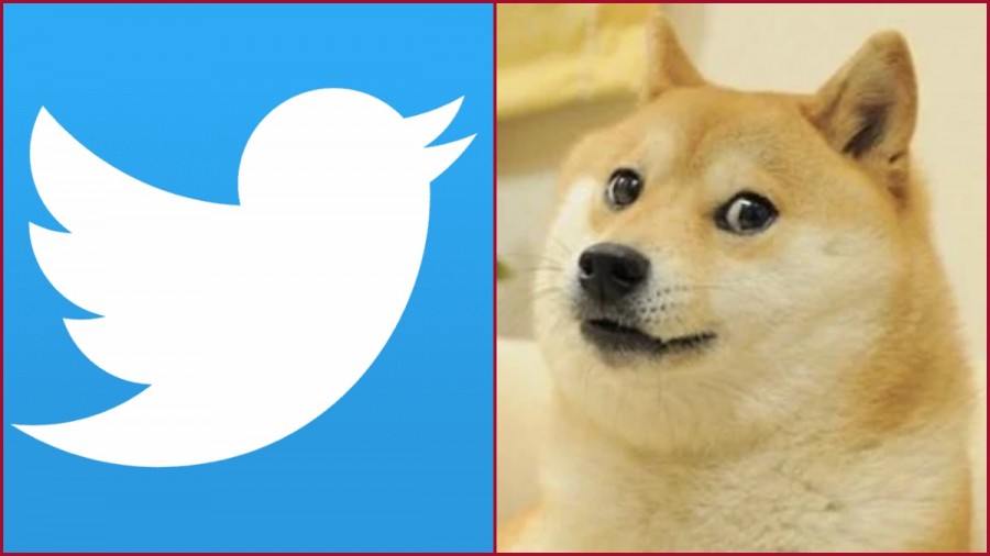 Twitter Logo: Elon Musk changed the logo of Twitter, the bird flew in ...